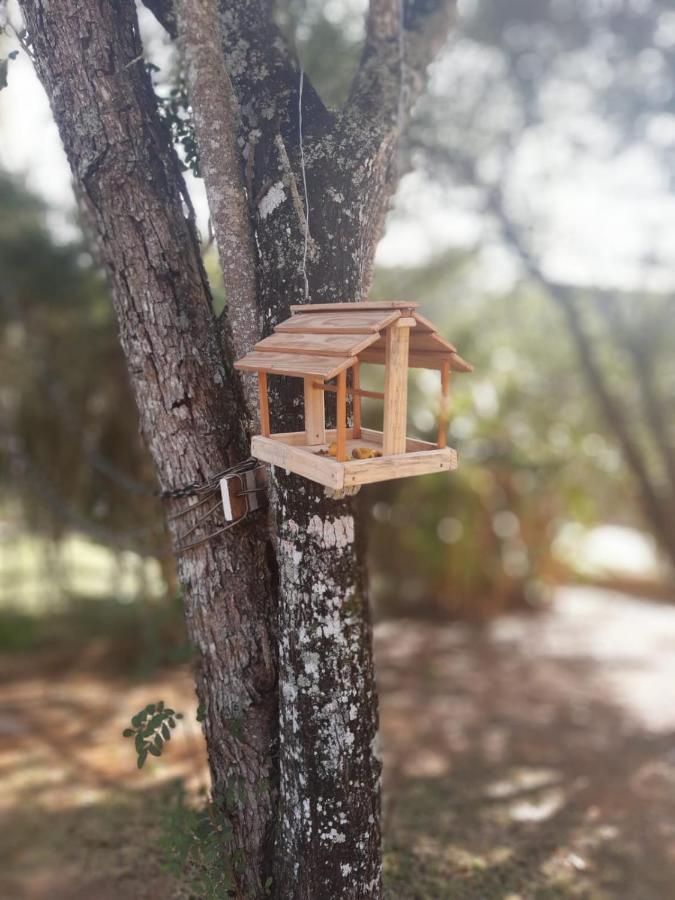 Ibiúna Biju'S Little Farm 빌라 외부 사진